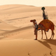 Illustration for article titled Screw Cars, Meet the Google Street View Camel